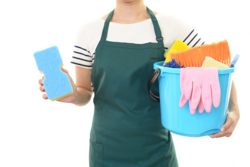 Detailed cupboard and surface cleaning during a move in clean