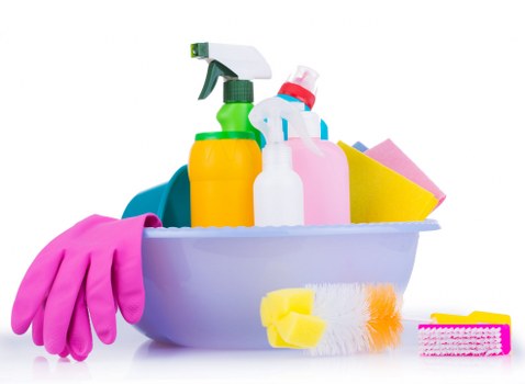 Professional pet stain odour removal for Brixton carpets