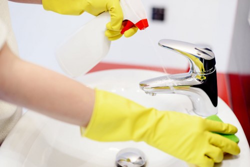Professional oven cleaning service for Brixton homes and flats