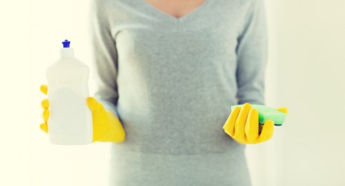 Pet accident stain removal service for Brixton properties