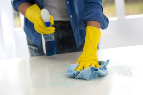 Local technician treating pet urine odour in a Brixton flat