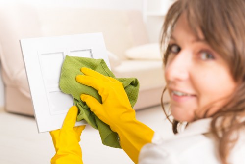 Steam cleaning process for carpets in a Brixton home or business